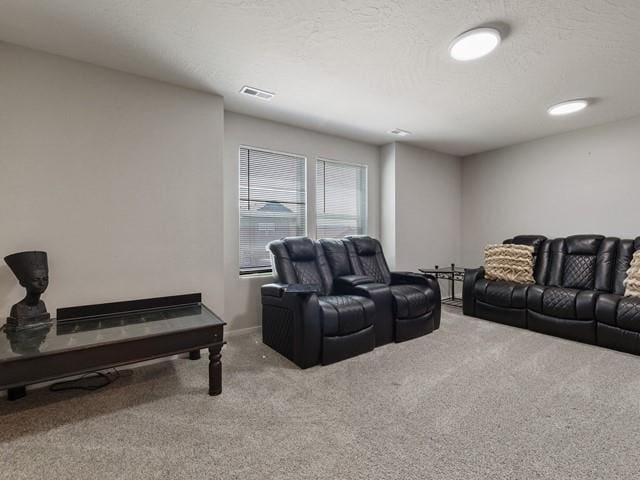 living room with carpet and a textured ceiling