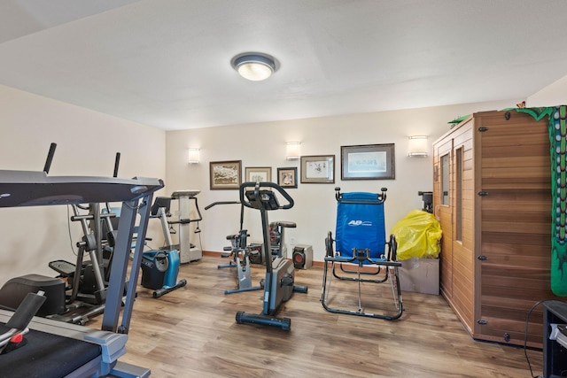 exercise room featuring hardwood / wood-style flooring