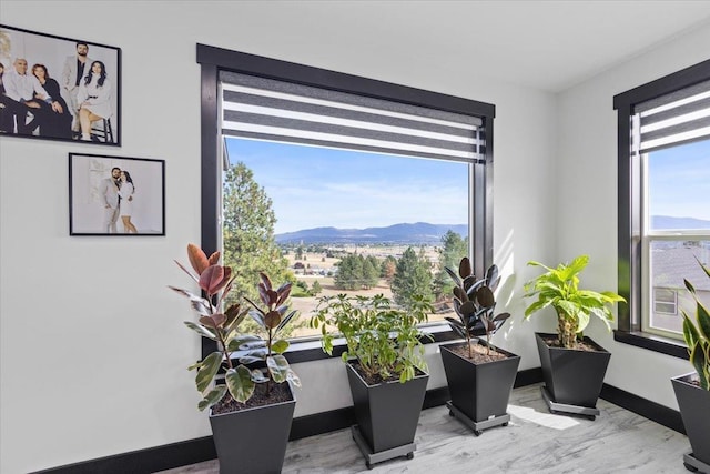 interior space featuring a mountain view, light hardwood / wood-style flooring, and a healthy amount of sunlight