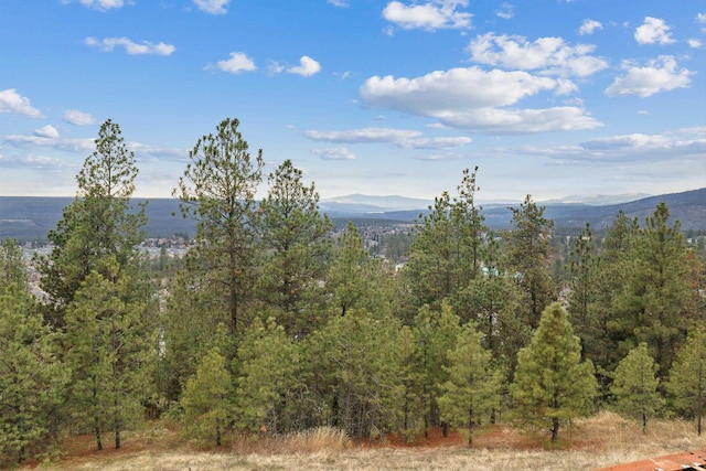 view of mountain feature