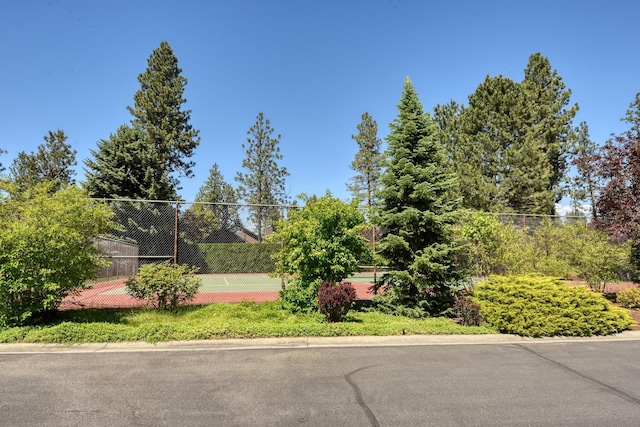 view of yard featuring tennis court