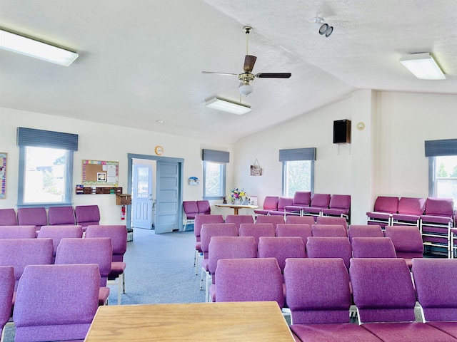 home theater room with a textured ceiling, a healthy amount of sunlight, light colored carpet, and vaulted ceiling