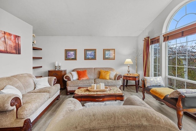 living room with vaulted ceiling and hardwood / wood-style flooring