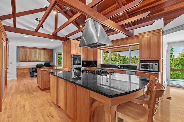 kitchen with stainless steel appliances, vaulted ceiling with beams, island exhaust hood, light hardwood / wood-style floors, and a center island with sink