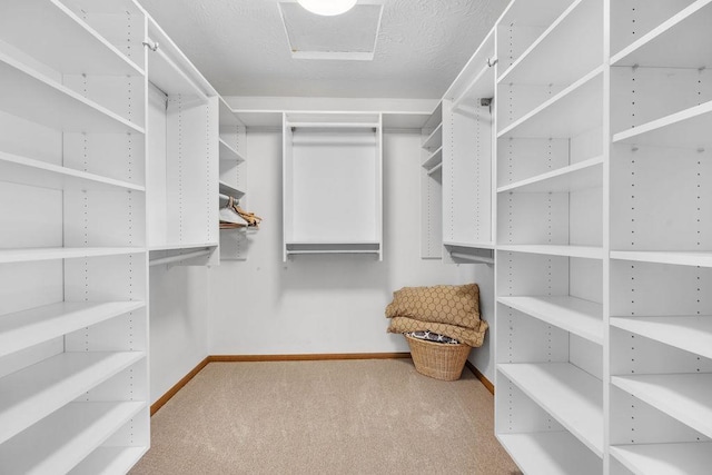 walk in closet with light carpet