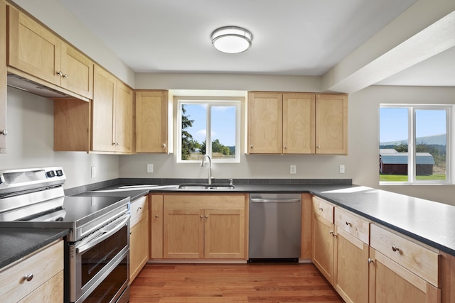 kitchen featuring a healthy amount of sunlight, sink, stainless steel appliances, and light wood-type flooring