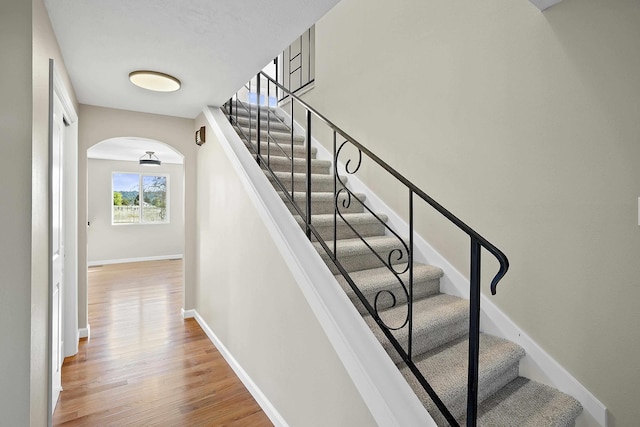 stairway featuring hardwood / wood-style floors