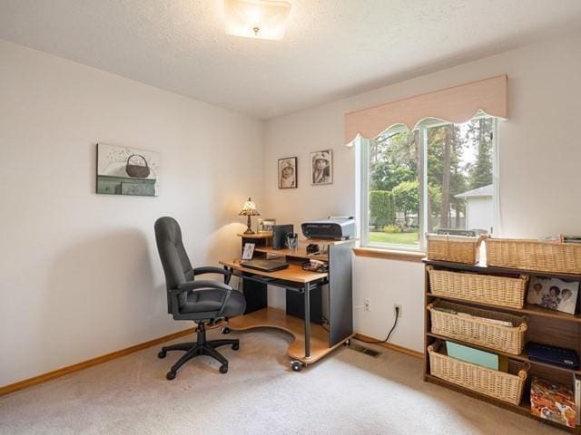 office featuring carpet flooring