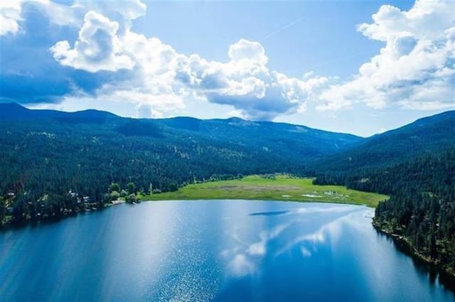 24269 E Liberty Creek Rd, Liberty Lake, WA 99019 - photo 13