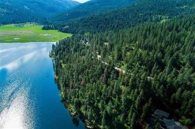 24269 E Liberty Creek Rd, Liberty Lake, WA 99019 - photo 14