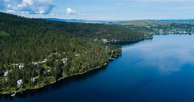 24269 E Liberty Creek Rd, Liberty Lake, WA 99019 - photo 17