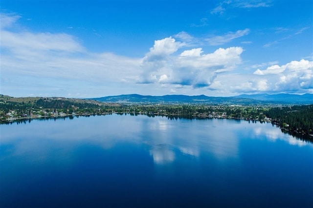24269 E Liberty Creek Rd, Liberty Lake, WA 99019 - photo 5