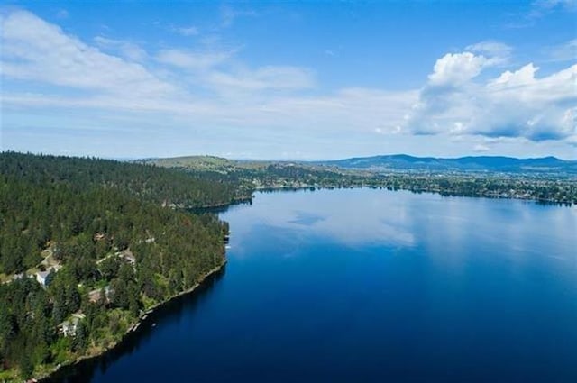 24269 E Liberty Creek Rd, Liberty Lake, WA 99019 - photo 9