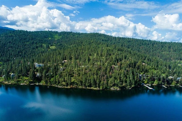 24269 E Liberty Creek Rd, Liberty Lake, WA 99019 - photo 10