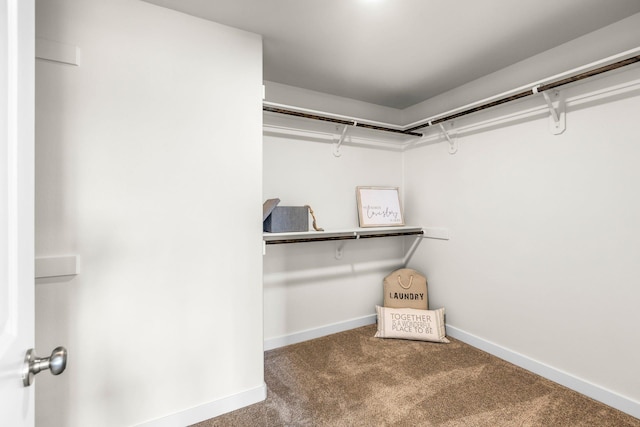 walk in closet featuring carpet