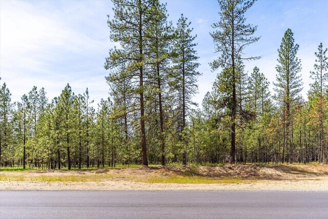 6550 Kate Dr, Nine Mile Falls, WA 99026 - photo 11