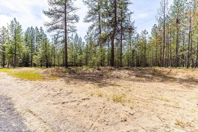 6550 Kate Dr, Nine Mile Falls, WA 99026 - photo 12