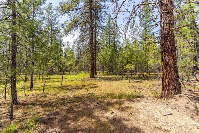 6550 Kate Dr, Nine Mile Falls, WA 99026 - photo 13