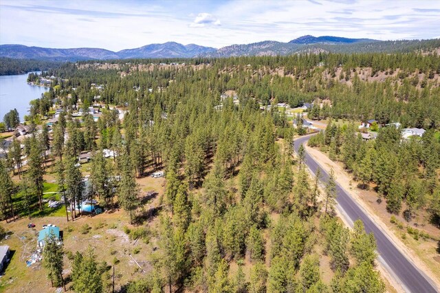 6550 Kate Dr, Nine Mile Falls, WA 99026 - photo 10