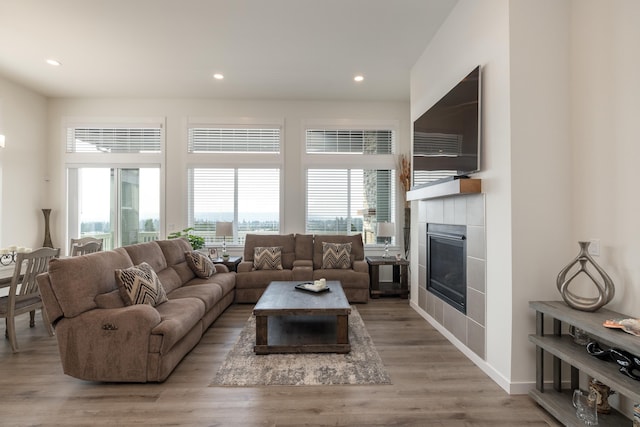 living room with a fireplace and hardwood / wood-style floors