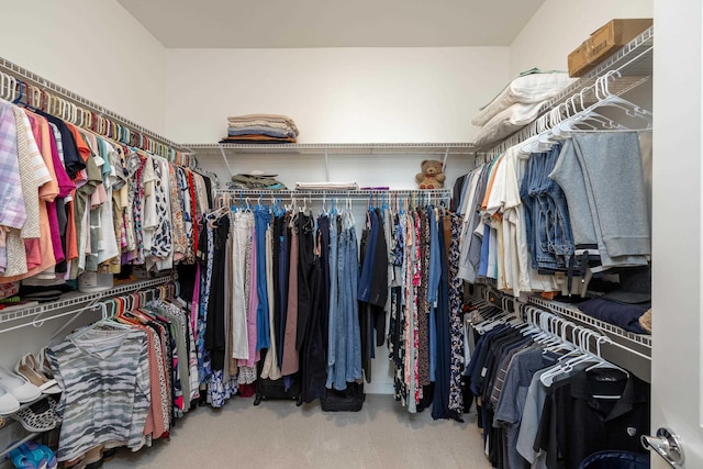 walk in closet with carpet