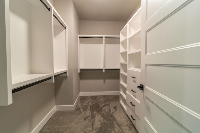 walk in closet with dark colored carpet