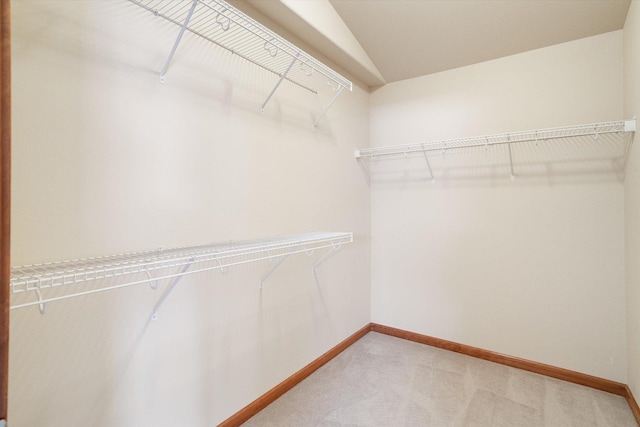 spacious closet with carpet