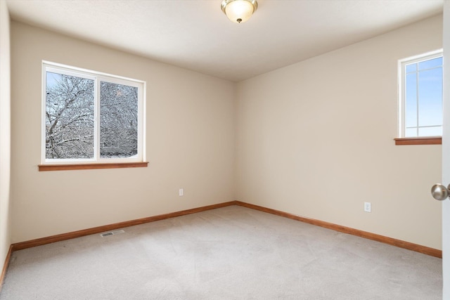 spare room with a wealth of natural light and carpet