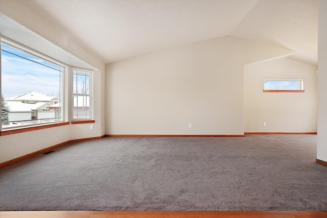 additional living space featuring carpet floors and vaulted ceiling