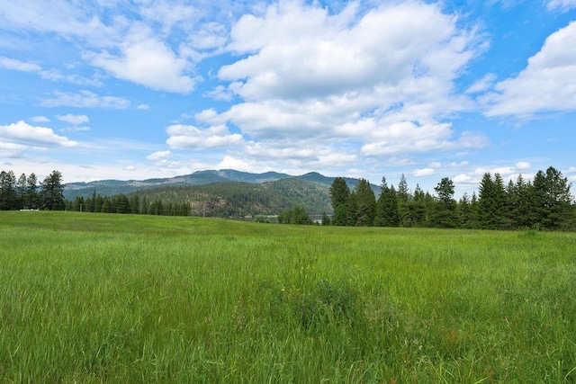 Listing photo 3 for LOT12 Fortune Way, Priest River ID 83856