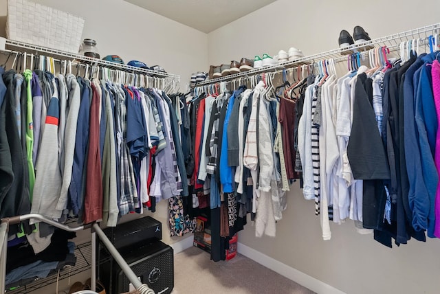 walk in closet featuring carpet flooring