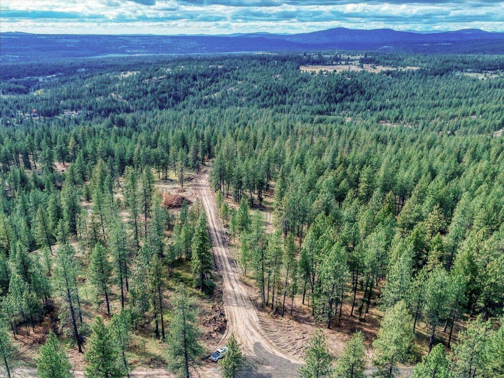 XX Weaver Way Lot A, Nine Mile Falls, WA 99006 - photo 1