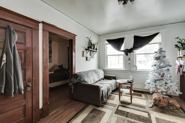 living area with dark hardwood / wood-style flooring