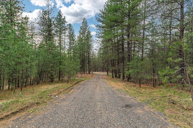 NKA Weaver Way Unit 3A, Deer Park, WA 99006