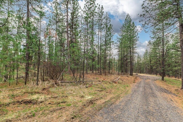 NKA Weaver Way Unit 3A, Deer Park, WA 99006