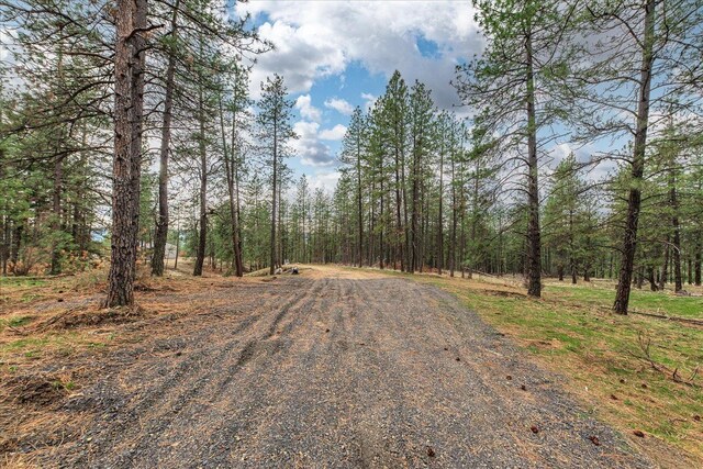 NKA Weaver Way Unit 3A, Deer Park, WA 99006