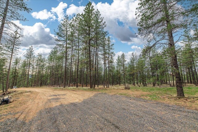 NKA Weaver Way Unit 3A, Deer Park, WA 99006