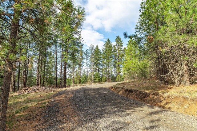 NKA Weaver Way Unit 3A, Deer Park, WA 99006