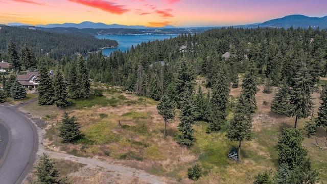 NNA S Greenfield Ln, Coeur D Alene ID, 83814 land for sale