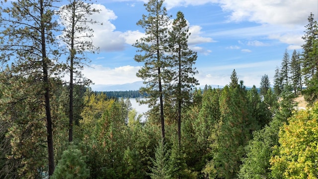 Listing photo 2 for NNA E Upper Hayden Lake Road, Hayden ID 83835