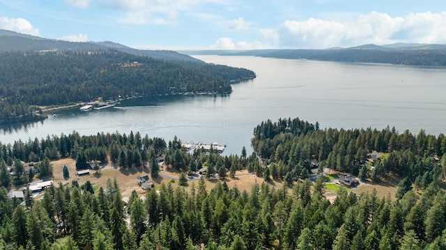 LT10BLK1 Sunset Shores Cir, Harrison, ID 83833