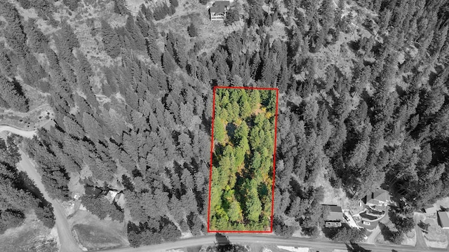 LT10BLK1 Sunset Shores Cir, Harrison, ID 83833