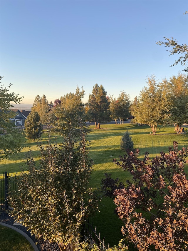 view of home's community featuring a yard