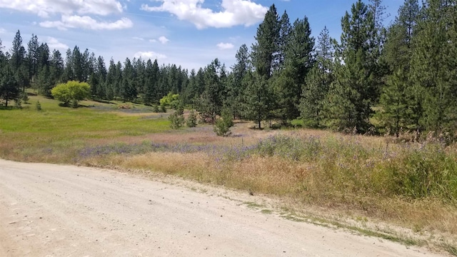 Listing photo 3 for LOT2 Glen Grove-Staley Rd, Deer Park WA 99006