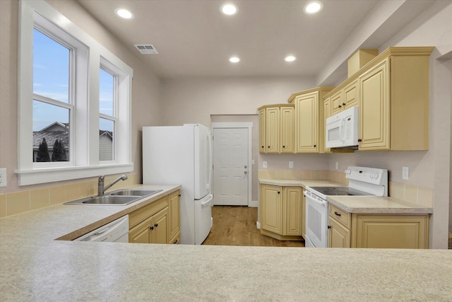 kitchen featuring sink, light hardwood / wood-style floors, and white appliances