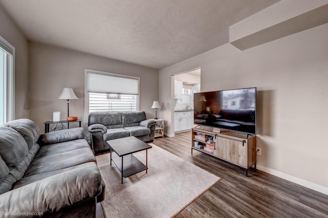 living room featuring wood-type flooring and a textured ceiling