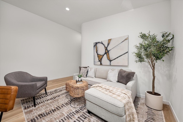 living room featuring light hardwood / wood-style floors