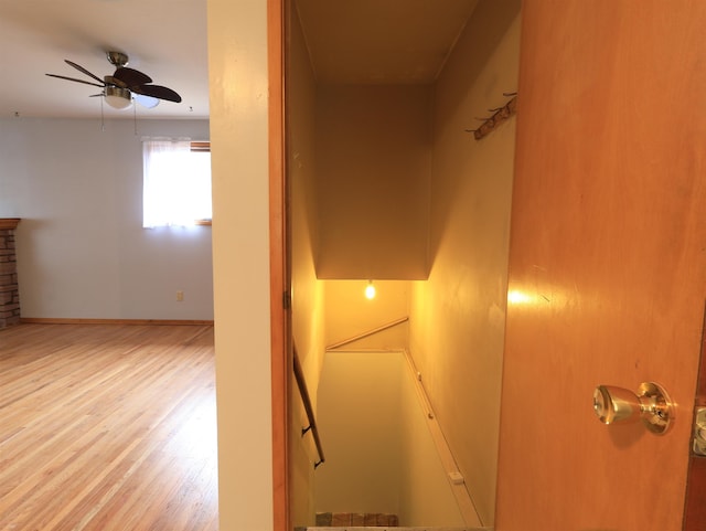 staircase with ceiling fan and hardwood / wood-style floors