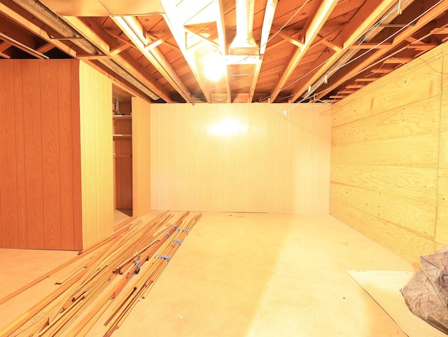 basement with wood walls