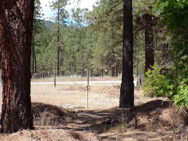 view of local wilderness